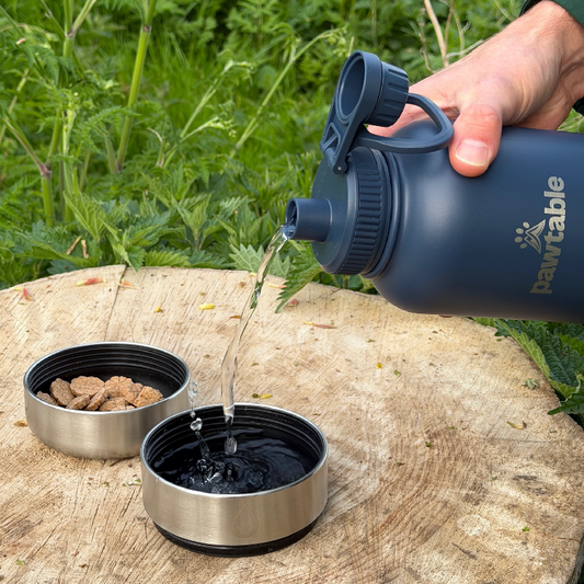 3-in-1 Dog Water Bottle