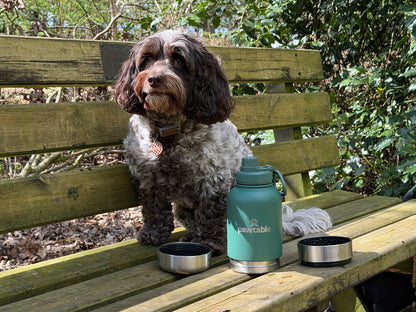 3-in-1 Dog Water Bottle
