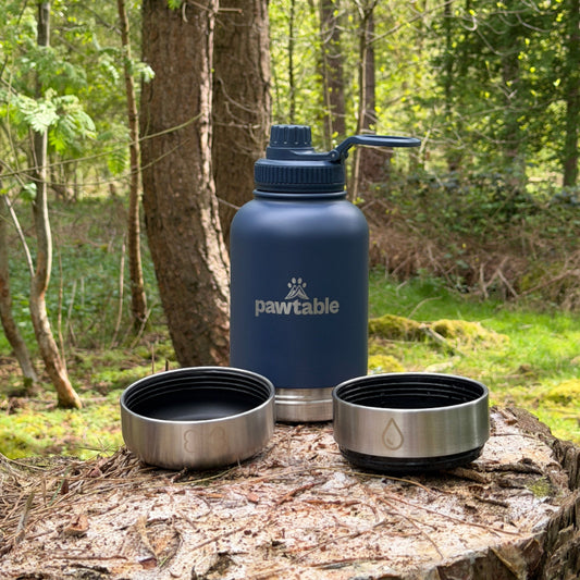 3-in-1 Dog Water Bottle