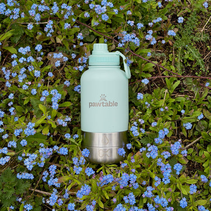 3-in-1 Dog Water Bottle