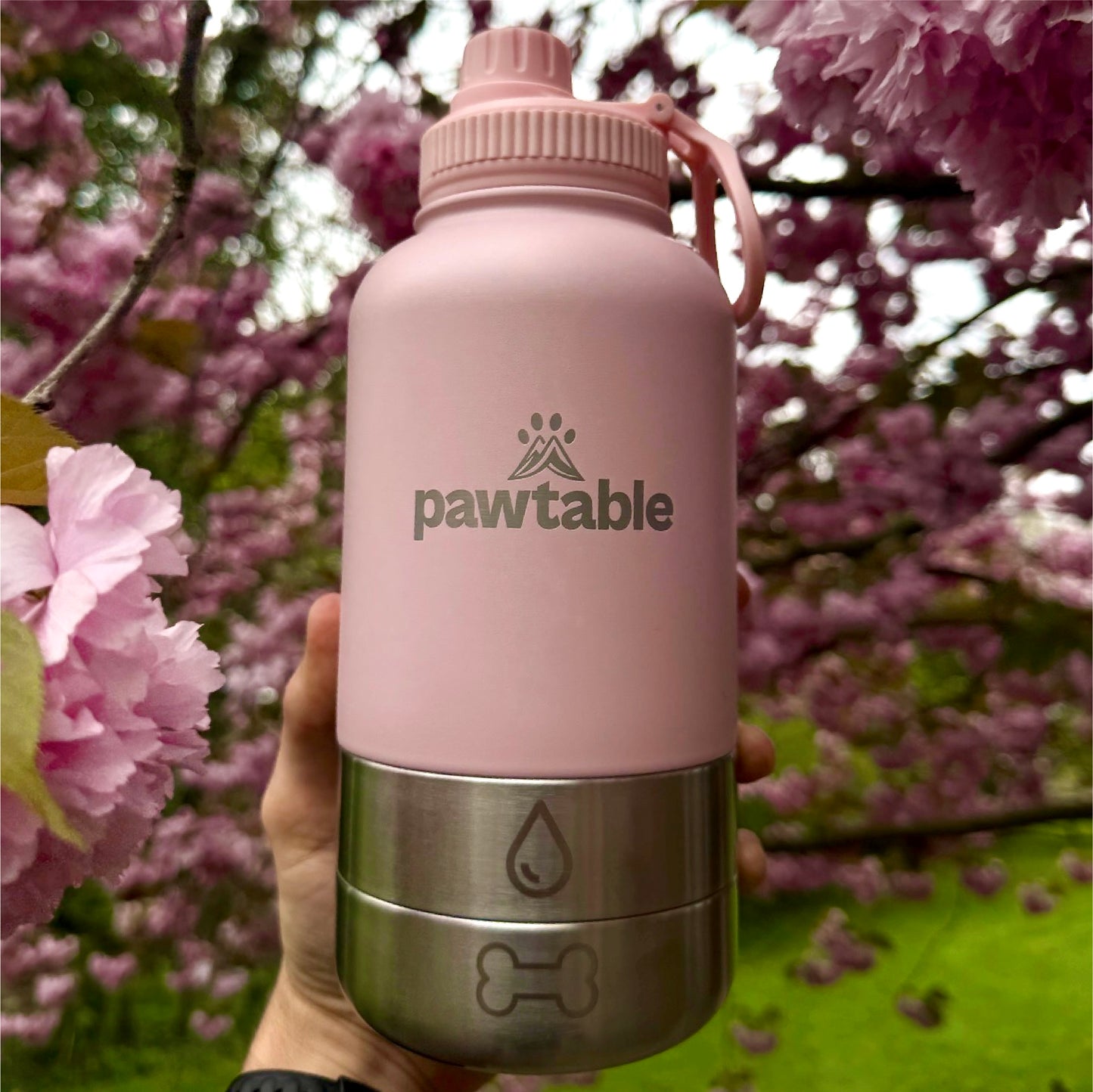 3-in-1 Dog Water Bottle