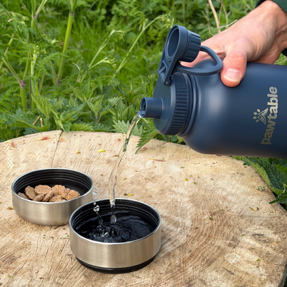 3-in-1 Dog Water Bottle