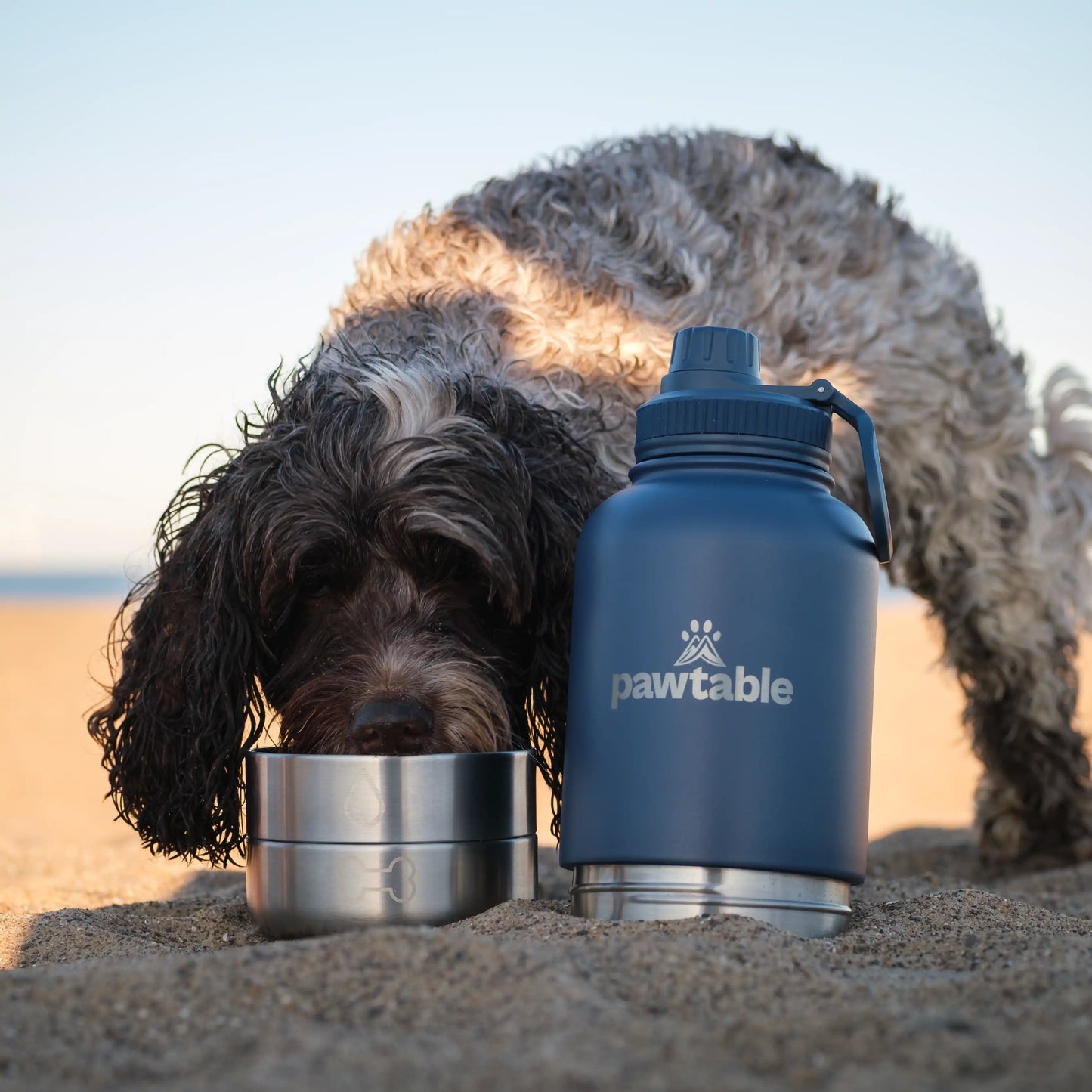 3-in-1 Dog Water Bottle & Trail Bag Bundle