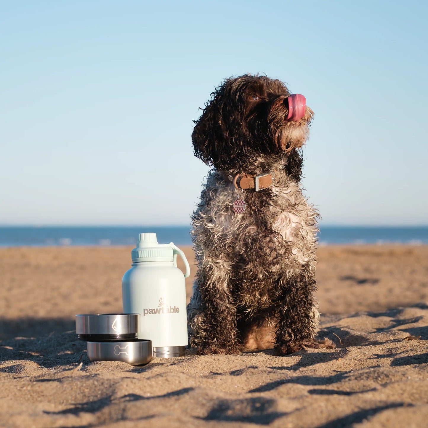 3-in-1 Dog Water Bottle & Trail Bag Bundle