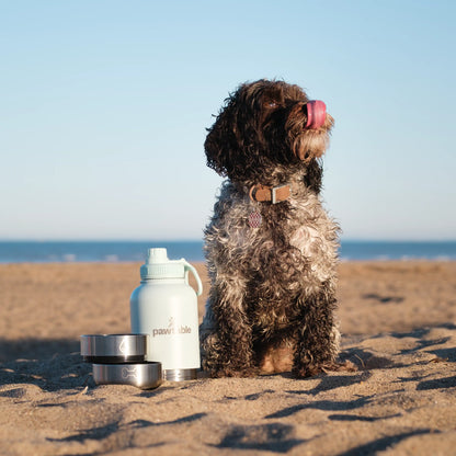 3-in-1 Dog Water Bottle & Trail Bag Bundle