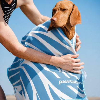 Dog Towel