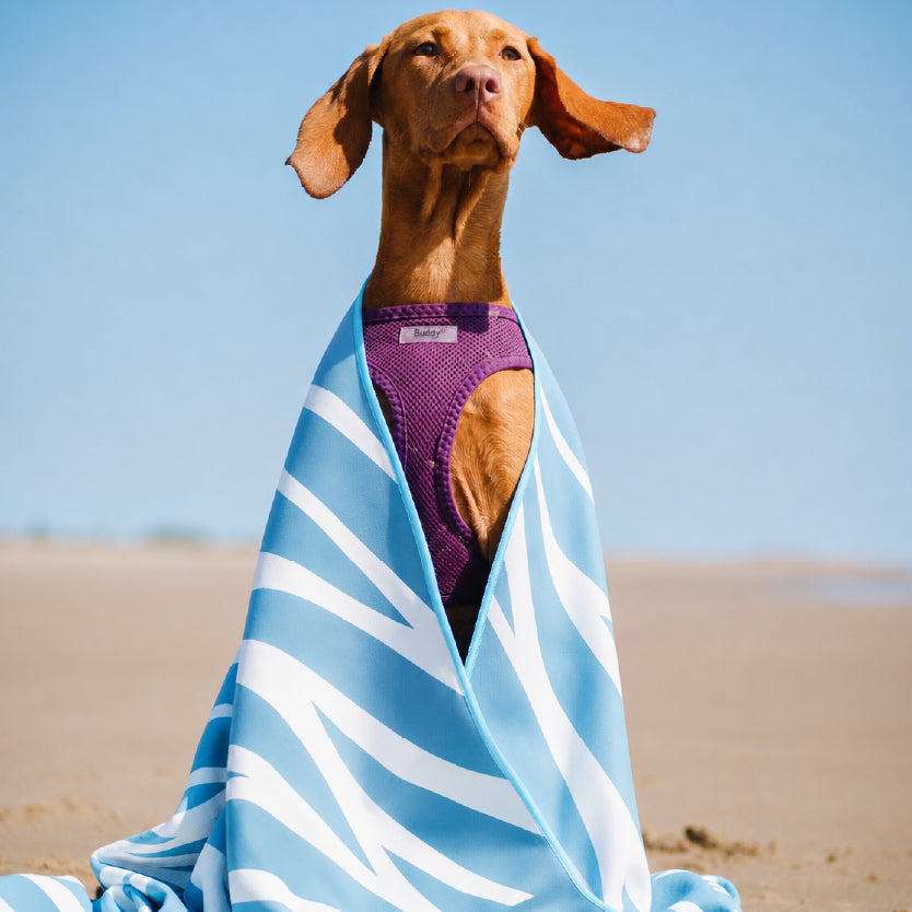 Dog Towel