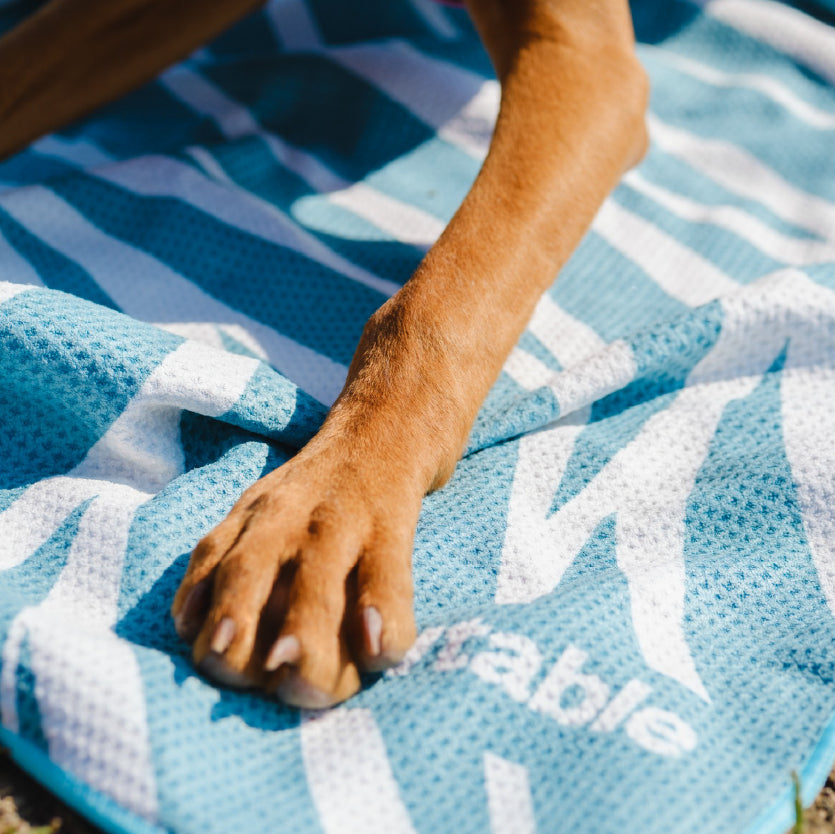 Dog Towel